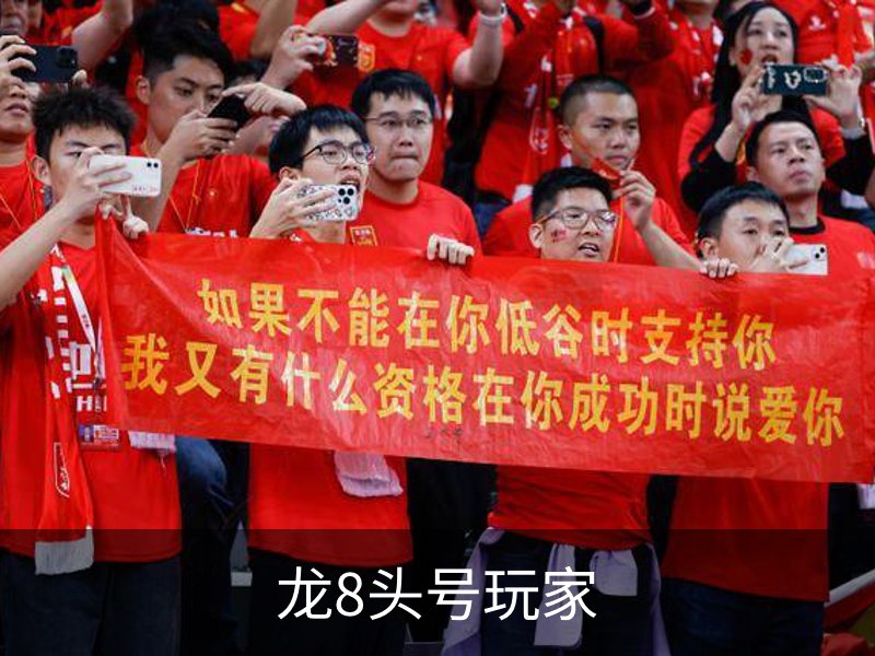 龙8头号玩家品牌故事